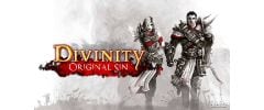 Divinity: Original Sin Trainer