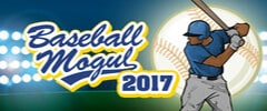 Baseball Mogul 2017 Trainer