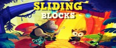 Sliding Blocks Trainer