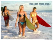 Blue Crush Wallpapers