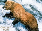 Grizzly Man, The Wallpapers