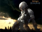 Kingdom Under Fire: Heroes Wallpapers