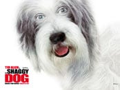 Shaggy Dog, The Wallpapers
