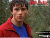 Smallville: Season Three Wallpapers